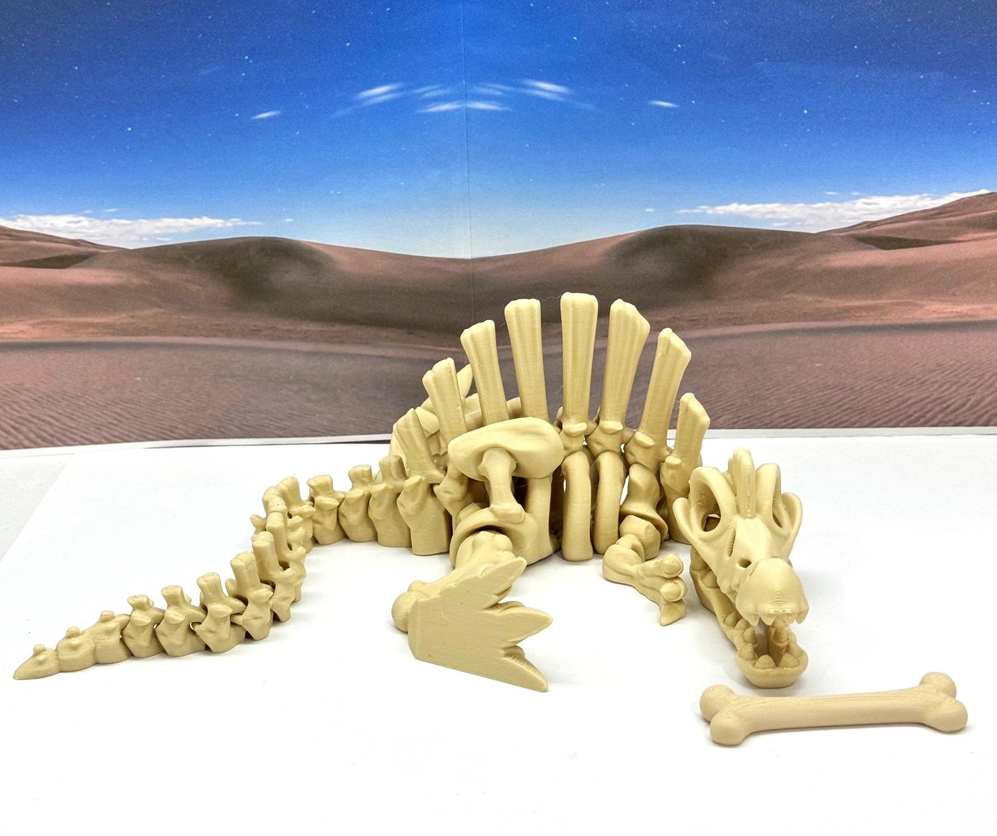 3D Printed Skeleton Dinosaur, Fidget Skeleton Stegosaurus Dinosaurs, Articulated Fidget Toys for Stress Relief - ASTE001