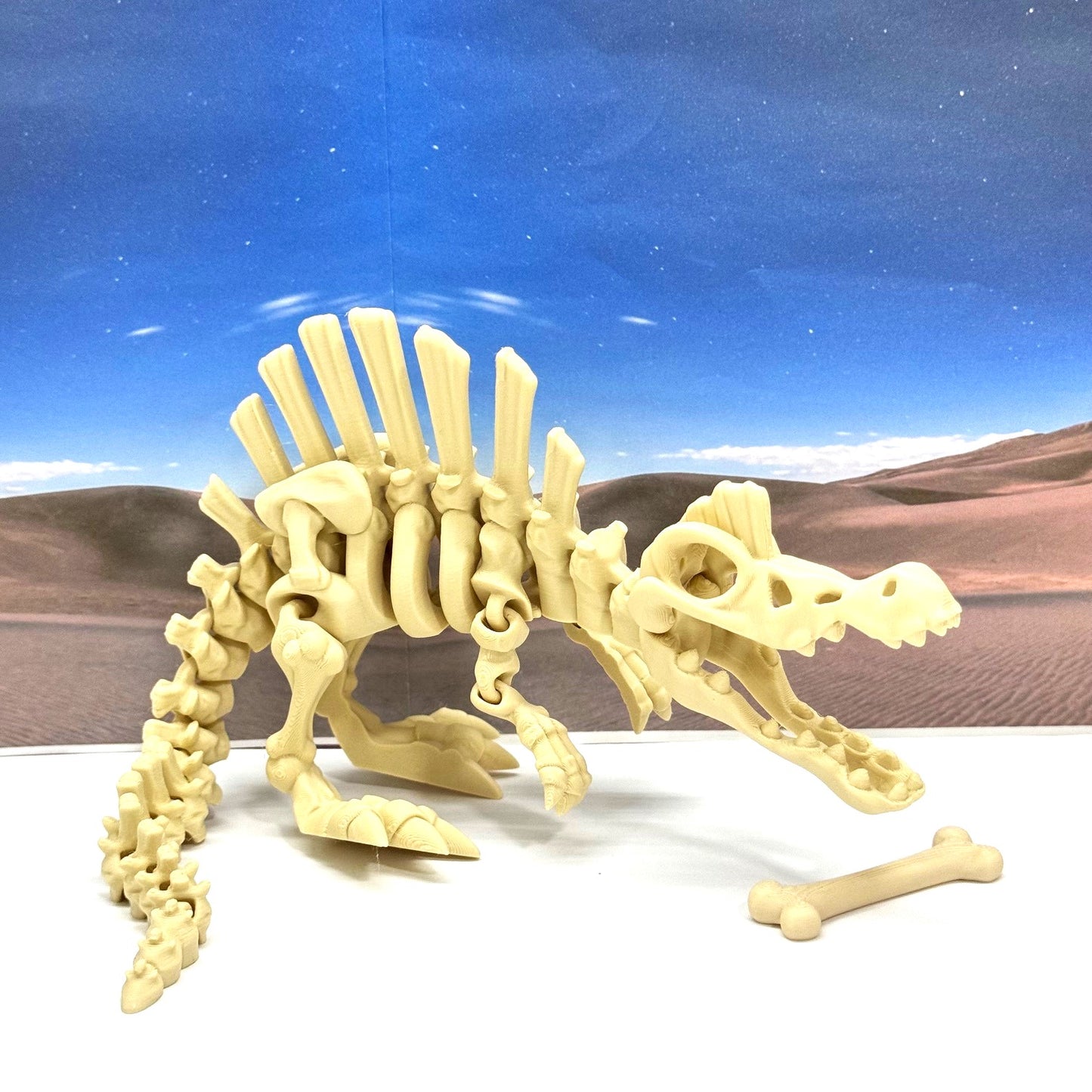 3D Printed Skeleton Dinosaur, Fidget Skeleton Stegosaurus Dinosaurs, Articulated Fidget Toys for Stress Relief - ASTE001