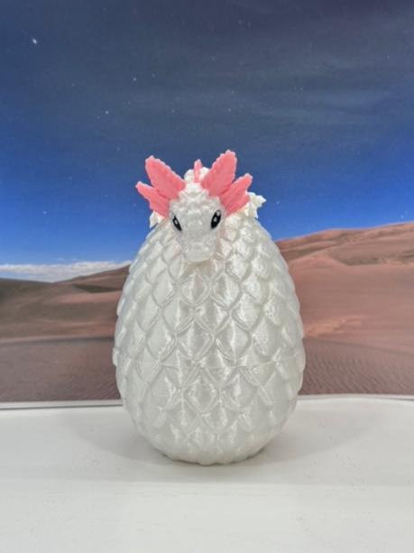 3D Printed Axolotl Baby Dragon with Dragon Egg, 6" Articulated Axolotl Baby Dragon, White and Red Mushroom Baby Dragon, Fidget ADHD Autism Toy BD008-WE